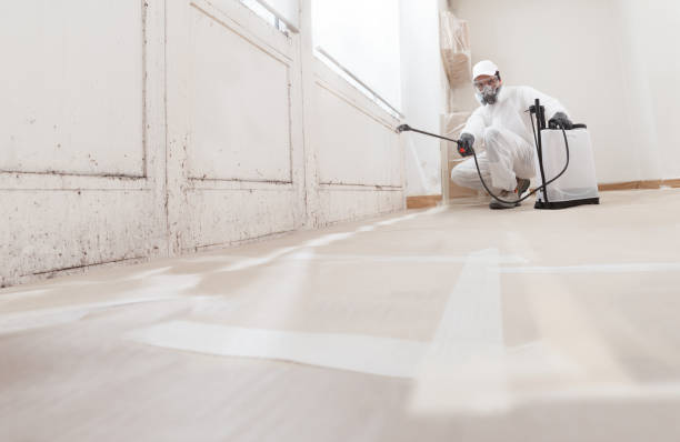 24/7 Emergency Commercial Mold Remediation experts in Victoria, TX
